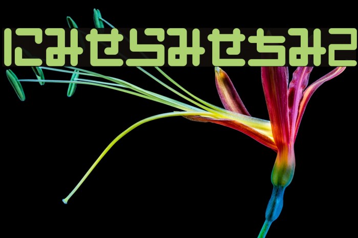 PinponpanHR Example 3