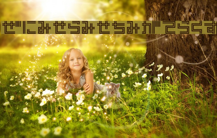 PinponpanTwohr Example 1