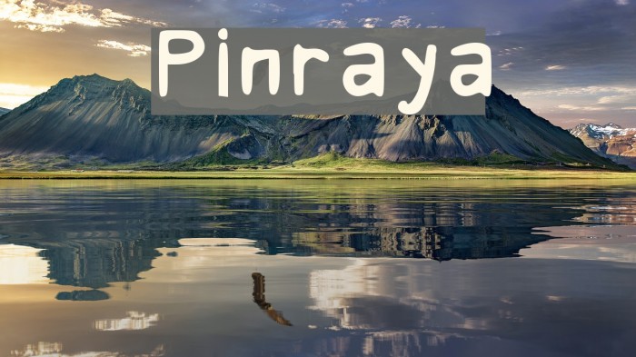 Pinraya Example 2