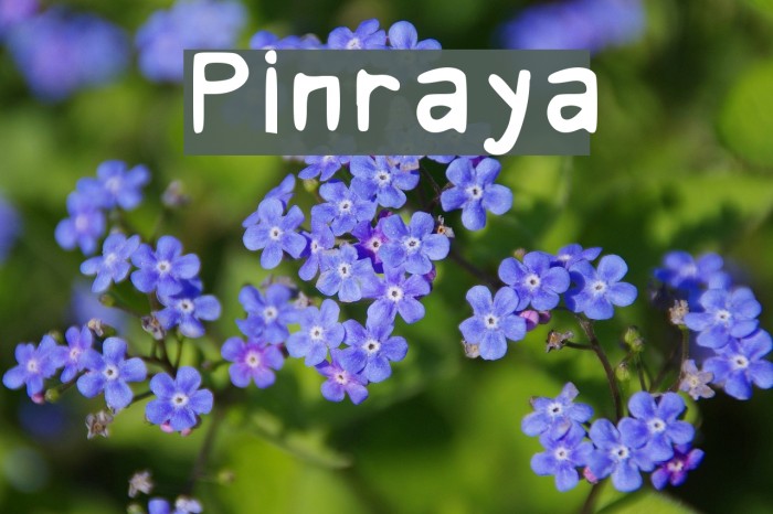 Pinraya Example 3