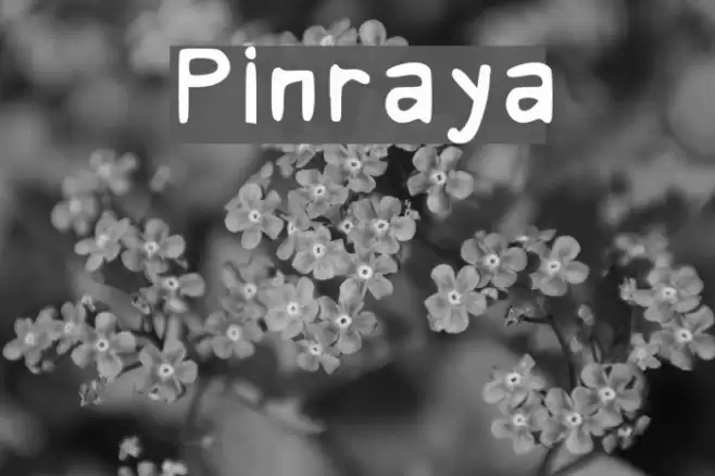 Pinraya Font examples