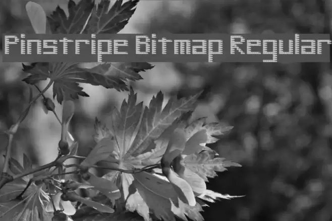 Pinstripe Bitmap Regular Font examples