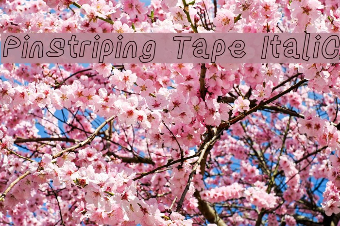 Pinstriping Tape Italic Font examples