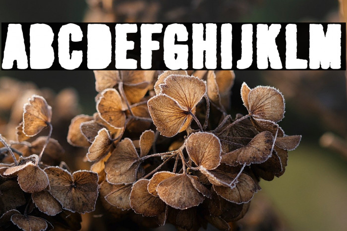 Pintan Bastos Example 1