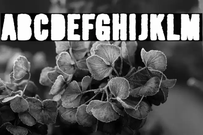 Pintan Bastos Font examples