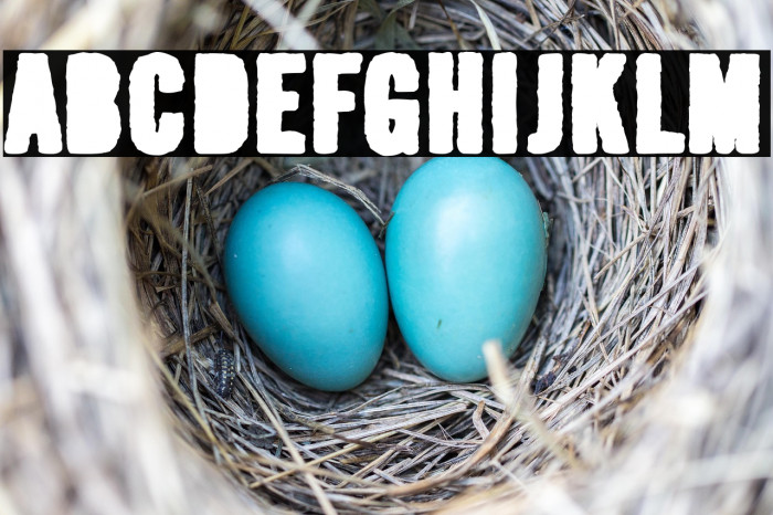 Pintan Bastos Example 2