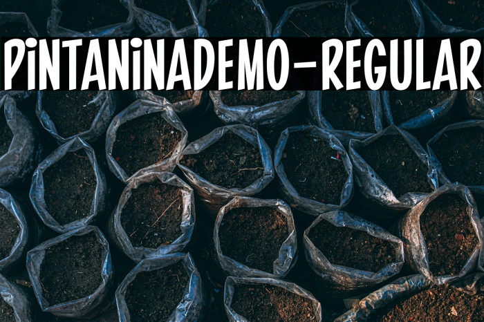 PintaninaDemo-Regular Example 1