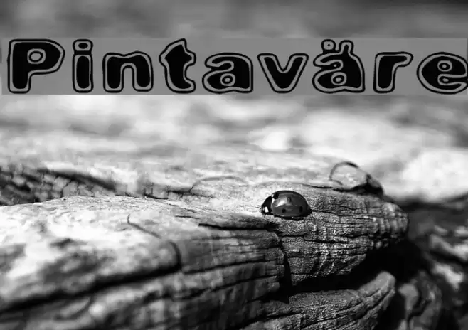 Pintaväre Font examples