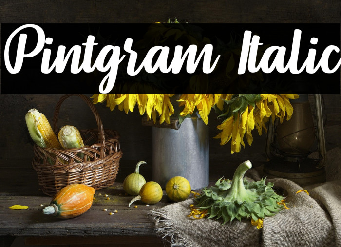 Pintgram Italic Example 2