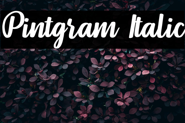 Pintgram Italic Example 3