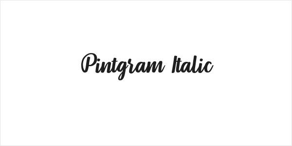 Pintgram Italic Logo