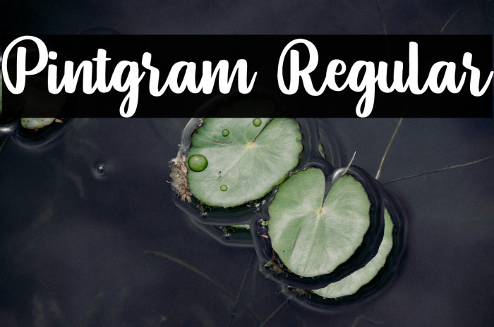 Pintgram Regular Example 3