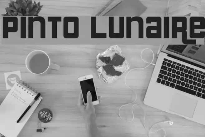 Pinto Lunaire Font examples