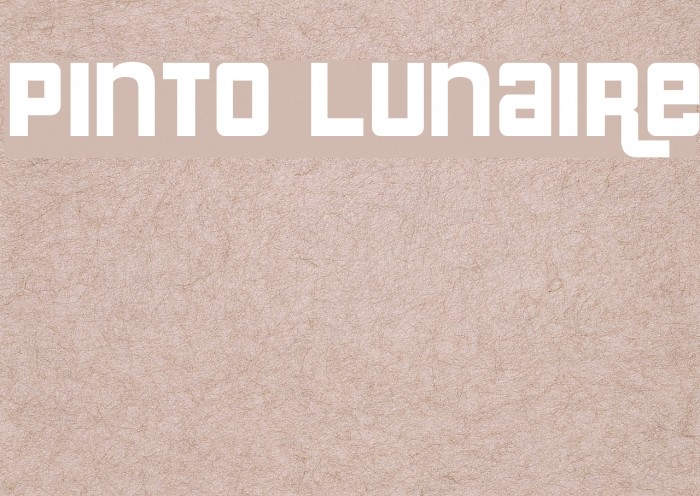 Pinto Lunaire Font examples