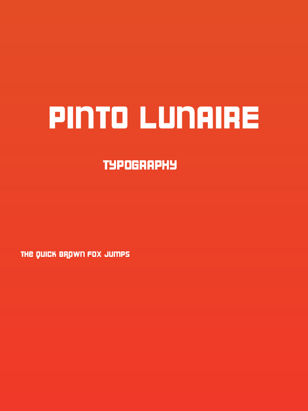 Pinto Lunaire Poster