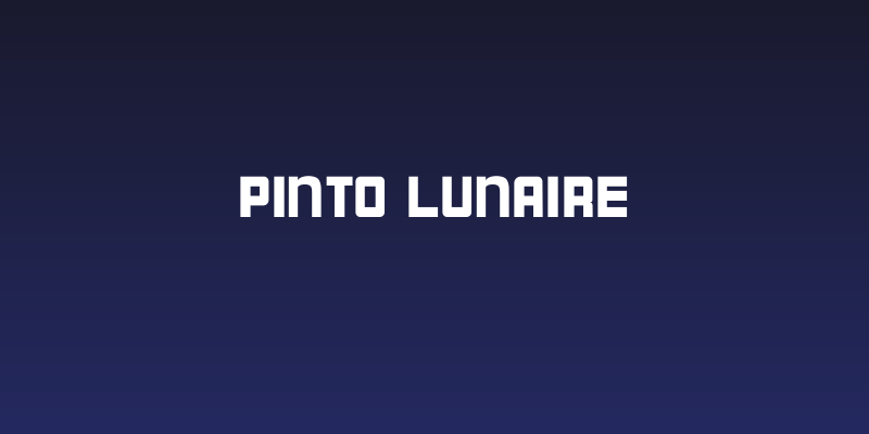 Pinto Lunaire Social Header