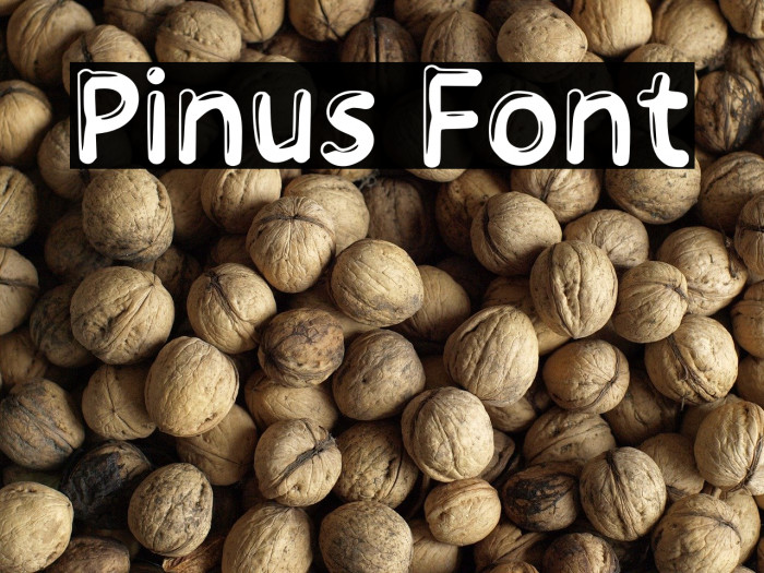 Pinus Example 1