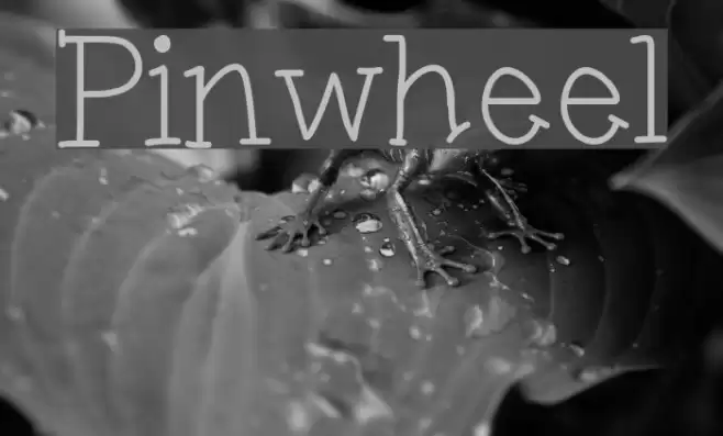 Pinwheel Font examples