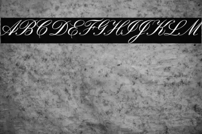 Pinyon Script Font examples