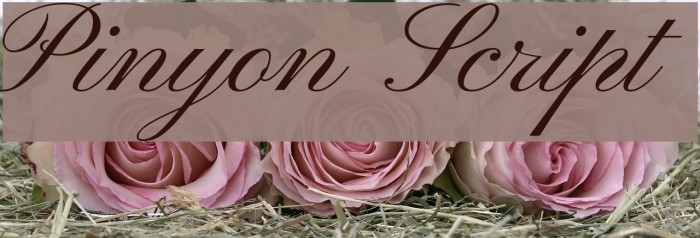 Pinyon Script Font examples