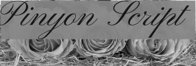 Pinyon Script  examples