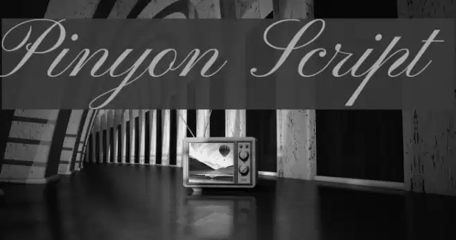 Pinyon Script  examples