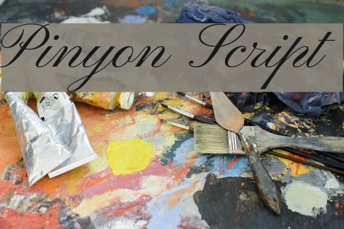 Pinyon Script Font examples