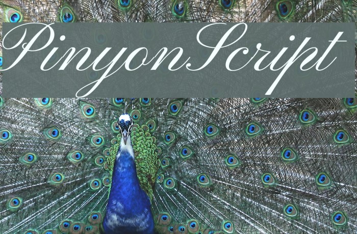 PinyonScript Font examples