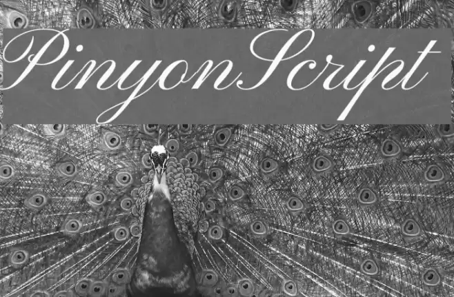 PinyonScript  examples