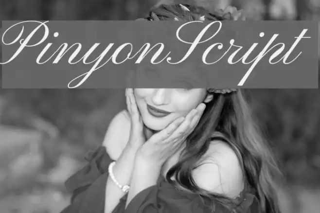 PinyonScript  examples