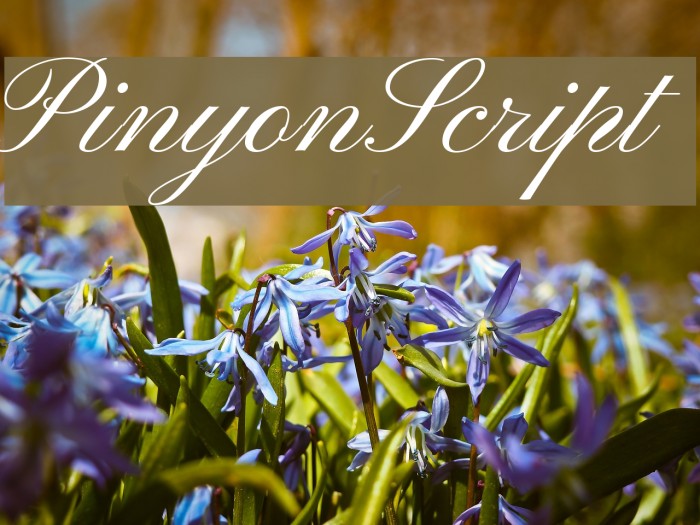 PinyonScript Font examples