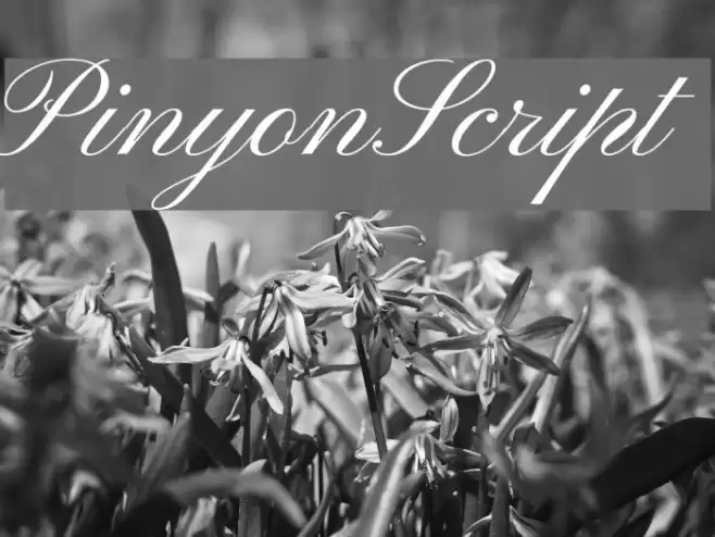 PinyonScript  examples