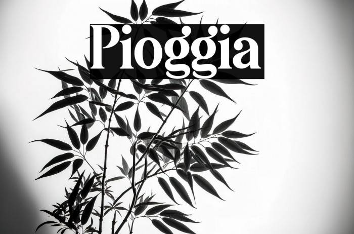 Pioggia Example 3