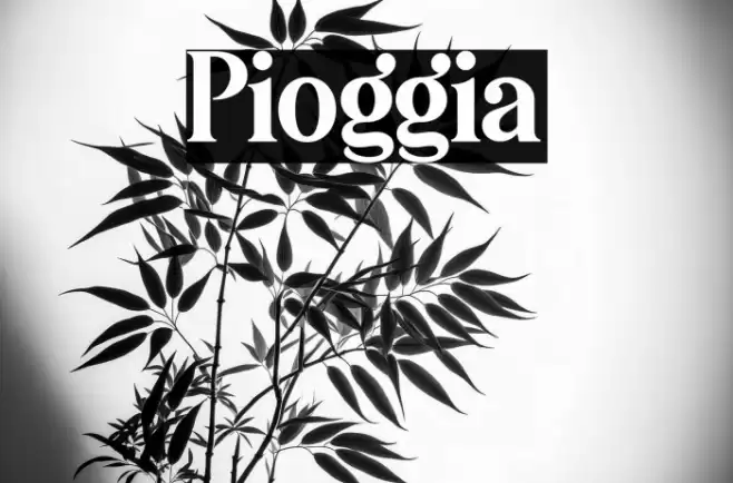 Pioggia Font examples
