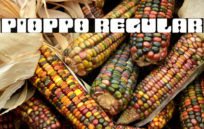 Pioppo Regular Example 3