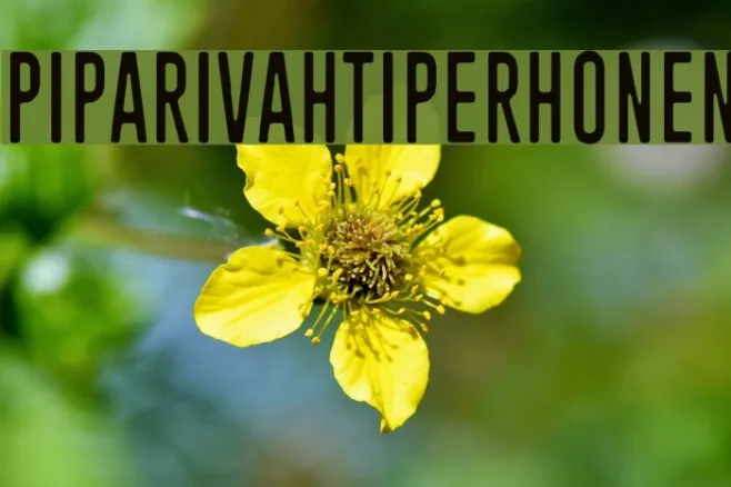 Piparivahtiperhonen Example 3
