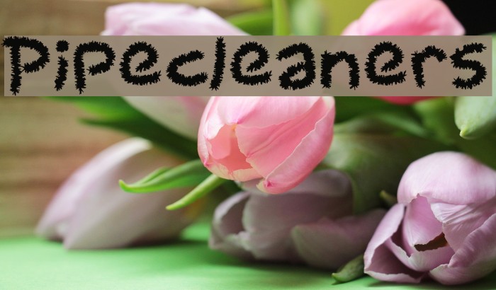 Pipecleaners Font examples