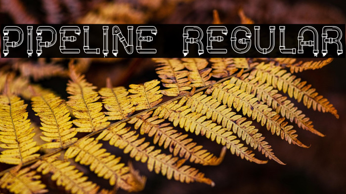 Pipeline Regular Example 1