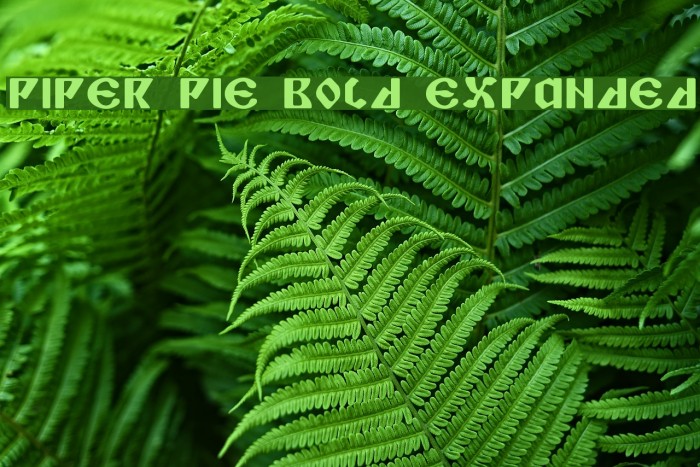Piper Pie Bold Expanded Font examples