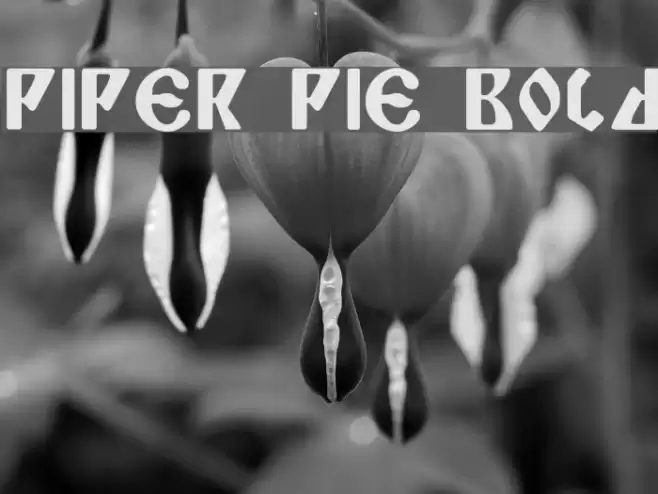 Piper Pie Bold Font examples