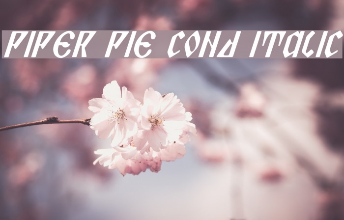 Piper Pie Cond Italic Font examples