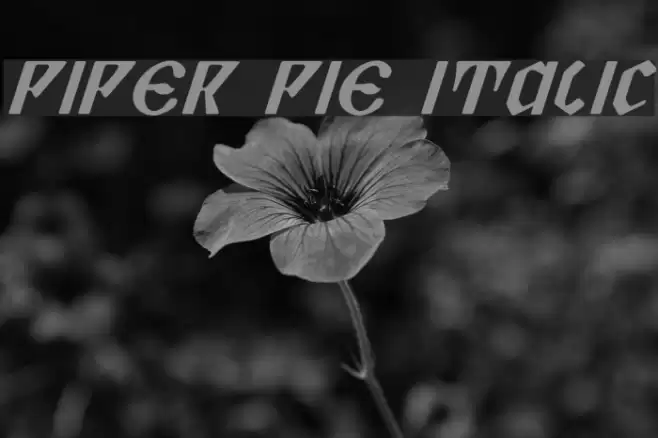 Piper Pie Italic Font examples