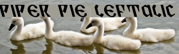 Piper Pie Leftalic फ़ॉन्ट examples