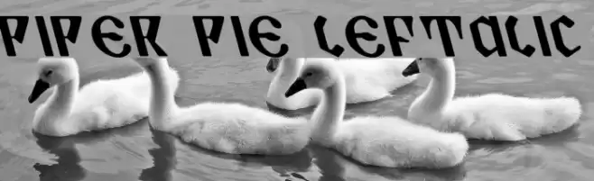 Piper Pie Leftalic Font examples