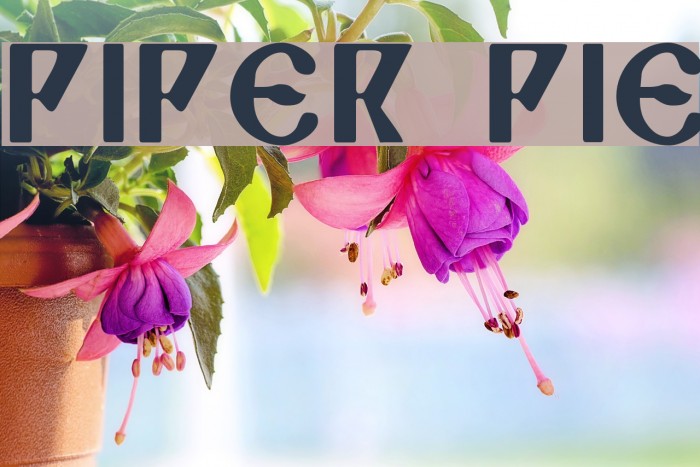 Piper Pie Font examples