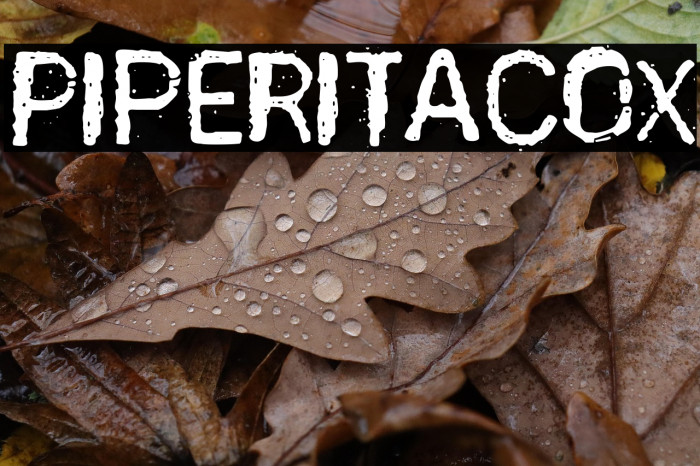 PiperitaCox Example 1