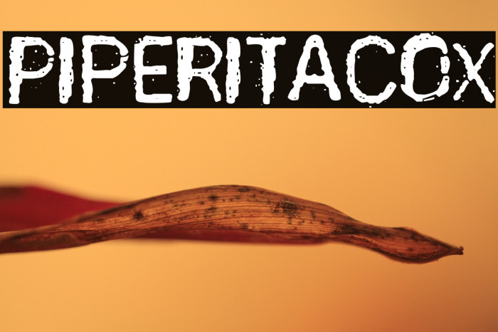 PiperitaCox Example 2