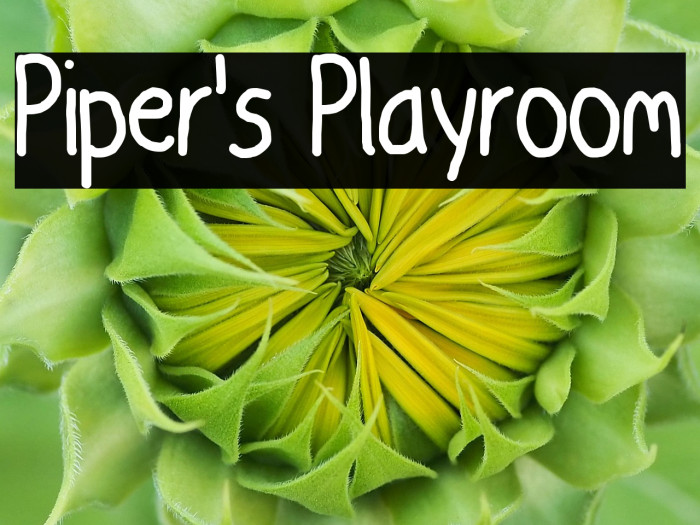 Piper's Playroom Example 2