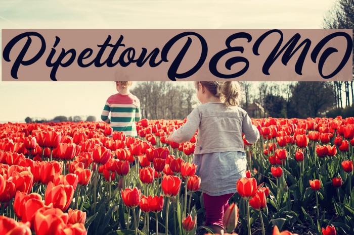 PipettonDEMO Example 1