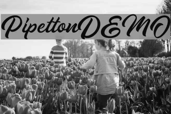 PipettonDEMO Font examples